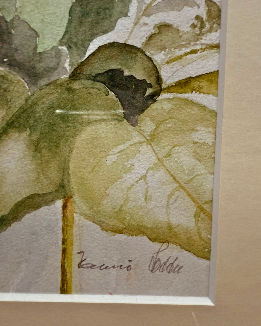 Aquarel van stokrozen – ingelijst in mahoniehouten lijst