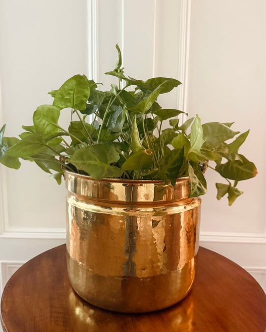 Antieke koperen pot met hengsel