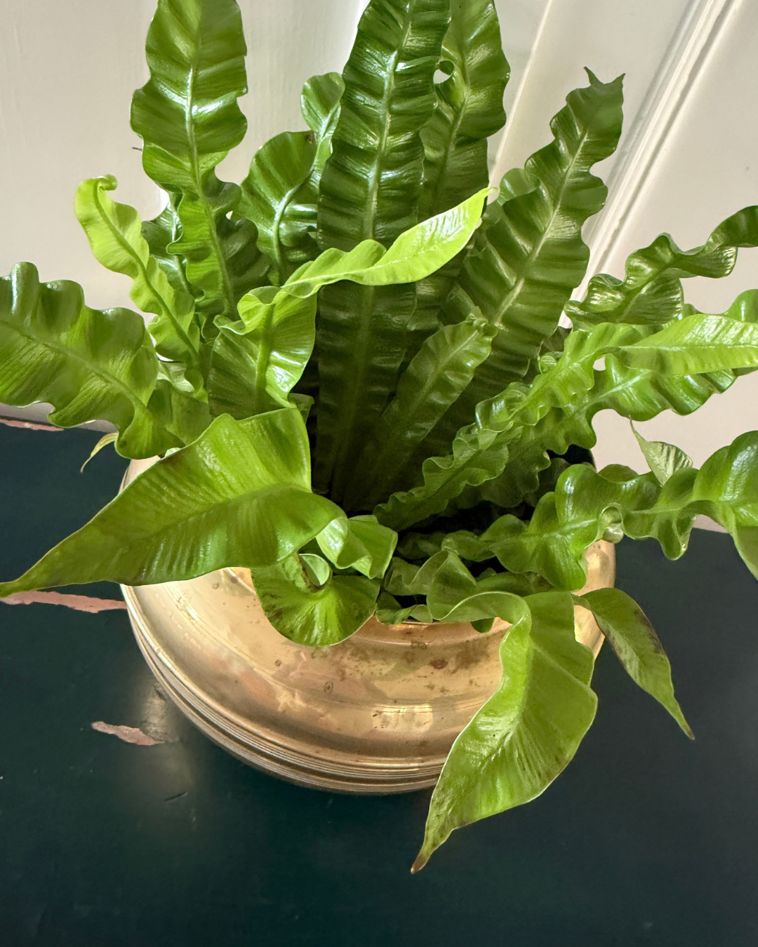 Vintage koperen plantenpot – Ø 20 × 18 cm